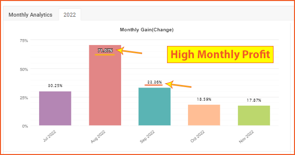 DAX High Monthly Profit